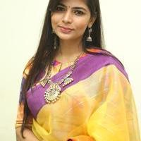 Chinmayi - Tiger Movie Audio Launch Photos | Picture 966267