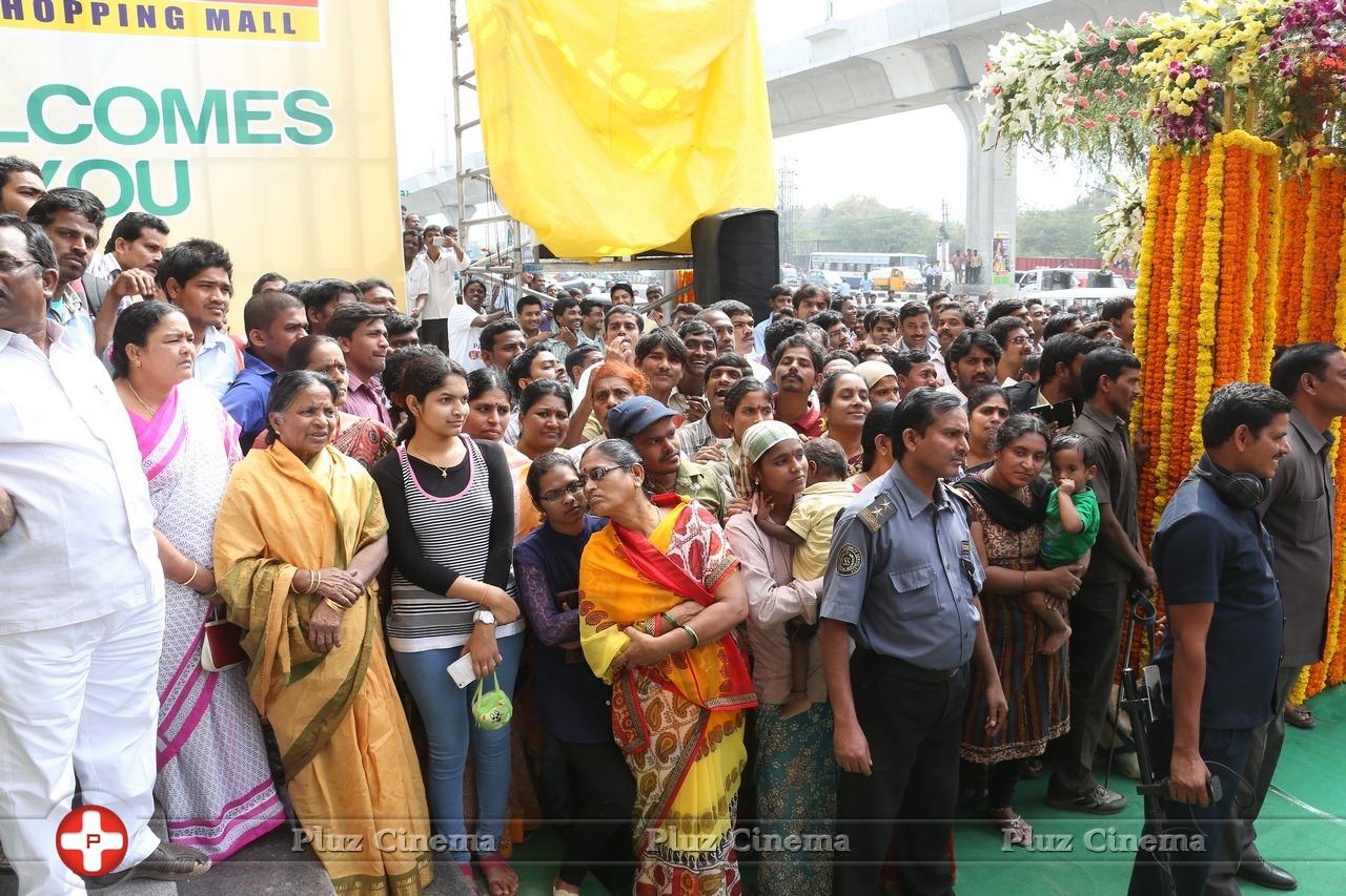 Regina Cassandra - The Chennai Shopping Mall Launch Stills | Picture 925799