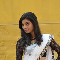 Bindhu New Gallery | Picture 927710