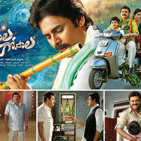 Gopala Gopala Movie New Wallpapers | Picture 927642