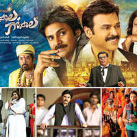 Gopala Gopala Movie New Wallpapers | Picture 927646
