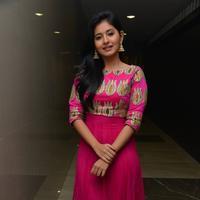 Reshmi Menon at Hyderabad Love Story Audio Launch Photos | Picture 931714