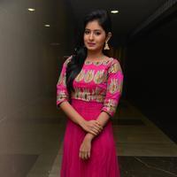 Reshmi Menon at Hyderabad Love Story Audio Launch Photos | Picture 931735