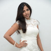 Roshini Shetty at Aahvanika Movie Audio Launch Stills | Picture 934884
