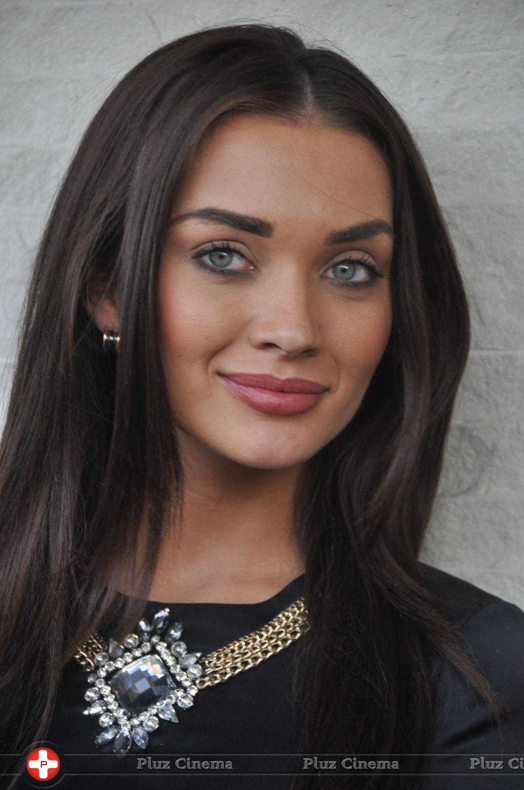 Amy Jackson at I Movie Press Meet Photos | Picture 938778