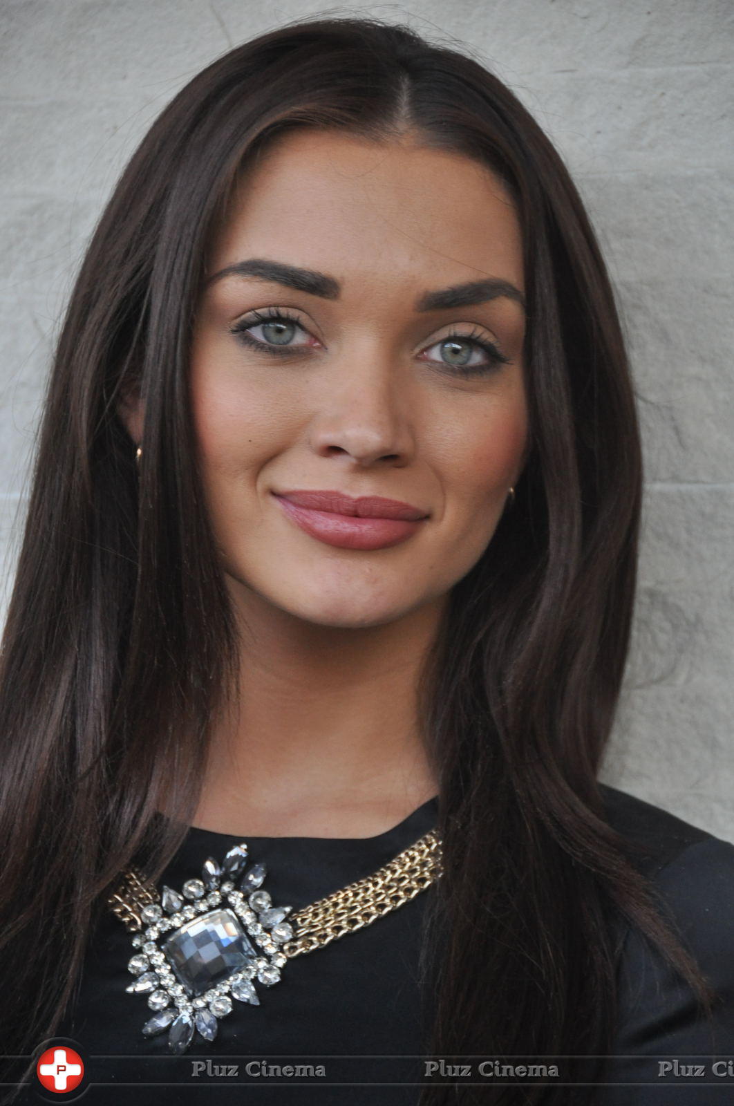 Amy Jackson at I Movie Press Meet Photos | Picture 938779