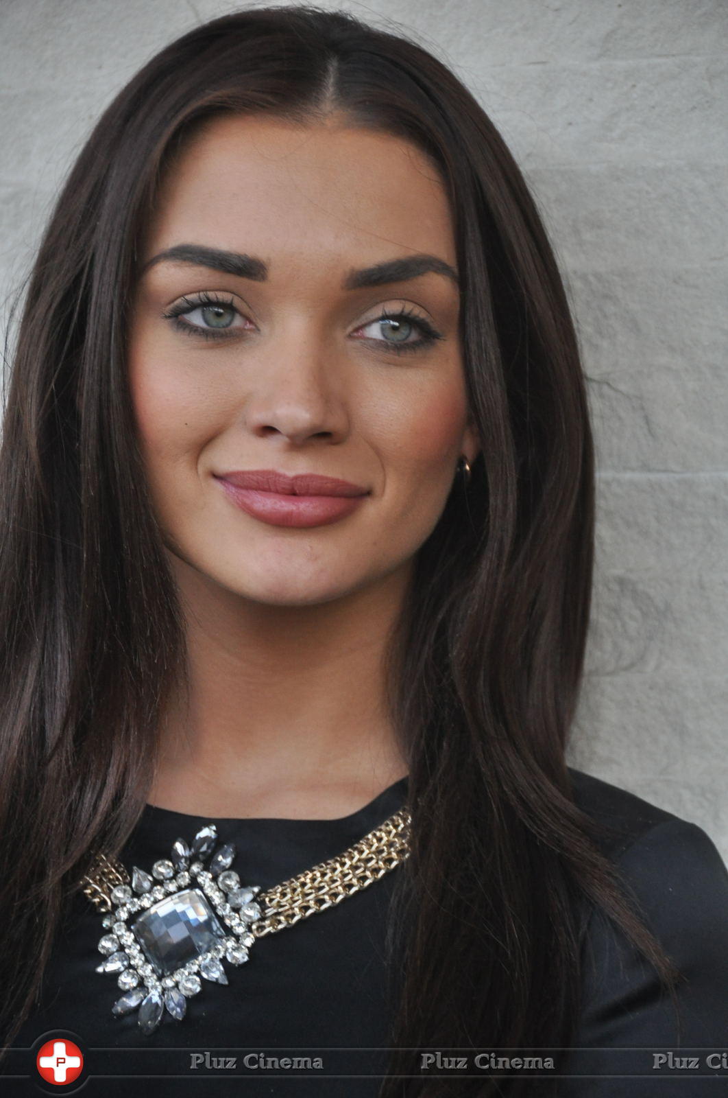 Amy Jackson at I Movie Press Meet Photos | Picture 938780