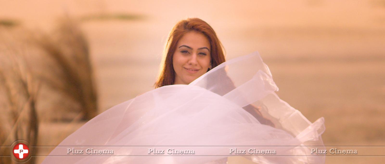 Aksha Pardasany - Dr Saleem Movie Gallery | Picture 935950