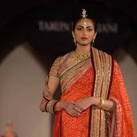 Lisa Haydon walks for Tarun Tahiliani Azva show in Hyderabad