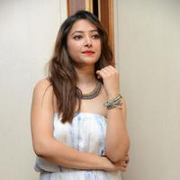 Swetha Basu Prasad at Intelligent Idiots Movie Press Meett Photos | Picture 940932