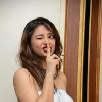 Swetha Basu Prasad at Intelligent Idiots Movie Press Meett Photos | Picture 940944