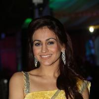 Aksha Pardasany at Dr Saleem Movie Audio Launch Photos | Picture 944303