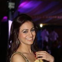 Aksha Pardasany at Dr Saleem Movie Audio Launch Photos | Picture 944304