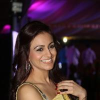 Aksha Pardasany at Dr Saleem Movie Audio Launch Photos | Picture 944311