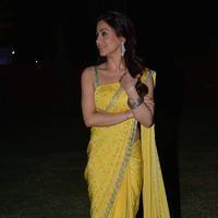 Aksha Pardasany at Dr Saleem Movie Audio Launch Photos | Picture 944348