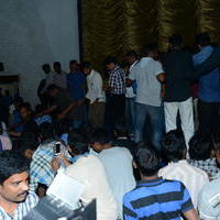 Patas Success Meet at Devi Theatre Stills | Picture 946178