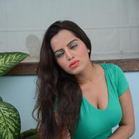 Meghna Patel at Thagubothu RGV Movie Logo Launch Photos | Picture 947235