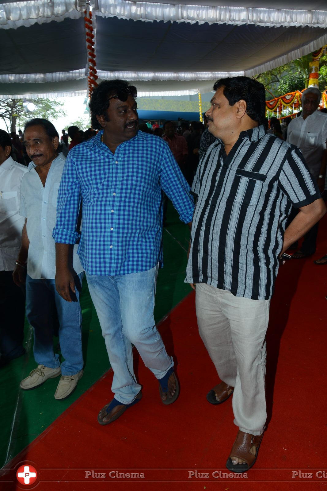 Bengal Tiger Movie Opening Photos | Picture 949625