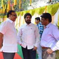 Bengal Tiger Movie Opening Photos | Picture 949501