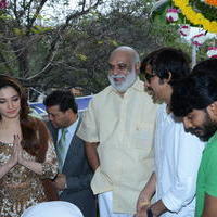 Bengal Tiger Movie Opening Photos | Picture 949538