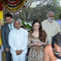 Bengal Tiger Movie Opening Photos | Picture 949539