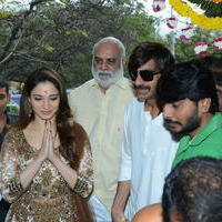 Bengal Tiger Movie Opening Photos | Picture 949544