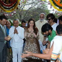 Bengal Tiger Movie Opening Photos | Picture 949545