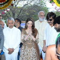 Bengal Tiger Movie Opening Photos | Picture 949547