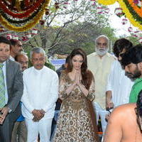 Bengal Tiger Movie Opening Photos | Picture 949548