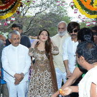 Bengal Tiger Movie Opening Photos | Picture 949549