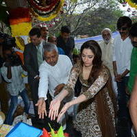 Bengal Tiger Movie Opening Photos | Picture 949550
