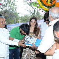 Bengal Tiger Movie Opening Photos | Picture 949551