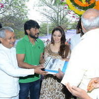Bengal Tiger Movie Opening Photos | Picture 949552
