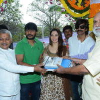 Bengal Tiger Movie Opening Photos | Picture 949553