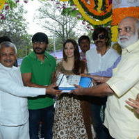 Bengal Tiger Movie Opening Photos | Picture 949554