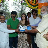 Bengal Tiger Movie Opening Photos | Picture 949555