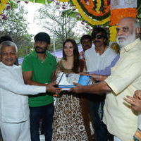 Bengal Tiger Movie Opening Photos | Picture 949556