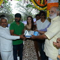 Bengal Tiger Movie Opening Photos | Picture 949557