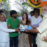 Bengal Tiger Movie Opening Photos | Picture 949559