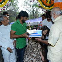 Bengal Tiger Movie Opening Photos | Picture 949560