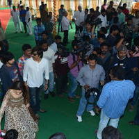 Bengal Tiger Movie Opening Photos | Picture 949561