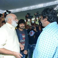 Bengal Tiger Movie Opening Photos | Picture 949562