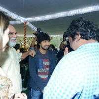 Bengal Tiger Movie Opening Photos | Picture 949564