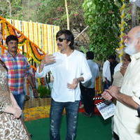 Bengal Tiger Movie Opening Photos | Picture 949571