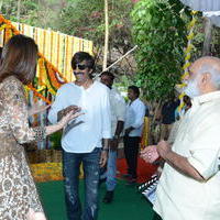 Bengal Tiger Movie Opening Photos | Picture 949572