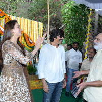 Bengal Tiger Movie Opening Photos | Picture 949574