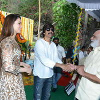 Bengal Tiger Movie Opening Photos | Picture 949576
