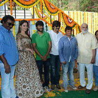 Bengal Tiger Movie Opening Photos | Picture 949618