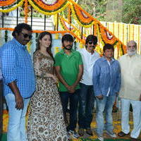 Bengal Tiger Movie Opening Photos | Picture 949619