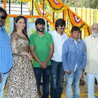 Bengal Tiger Movie Opening Photos | Picture 949620